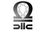 L.C.s.r.l