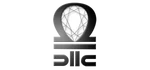 L.C.s.r.l
